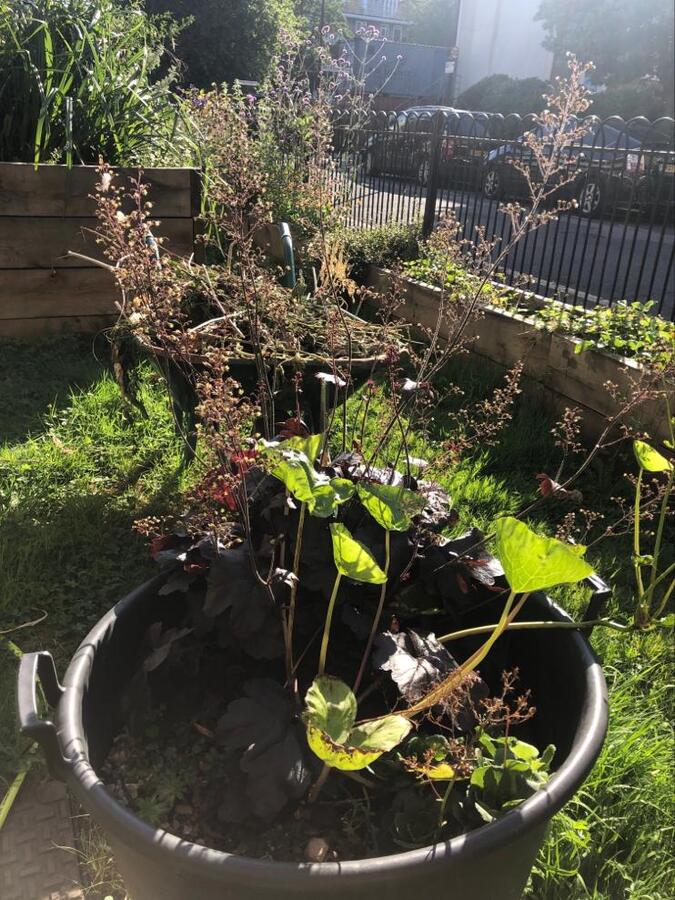 Photo from debmitchener(2)